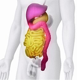 ЭРХПГ(ERCP)Эндоскопическая ретроградная холангиопанкреатография. Клиника Шиба (Израиль)