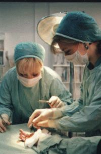 Отделение хирургии кисти руки, больница Шиба